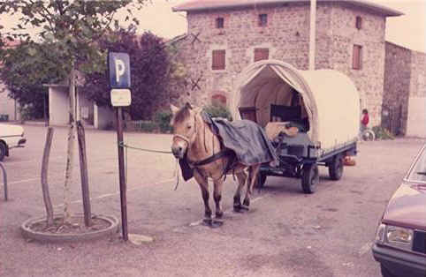 paard en huifkar op parkeerplaats